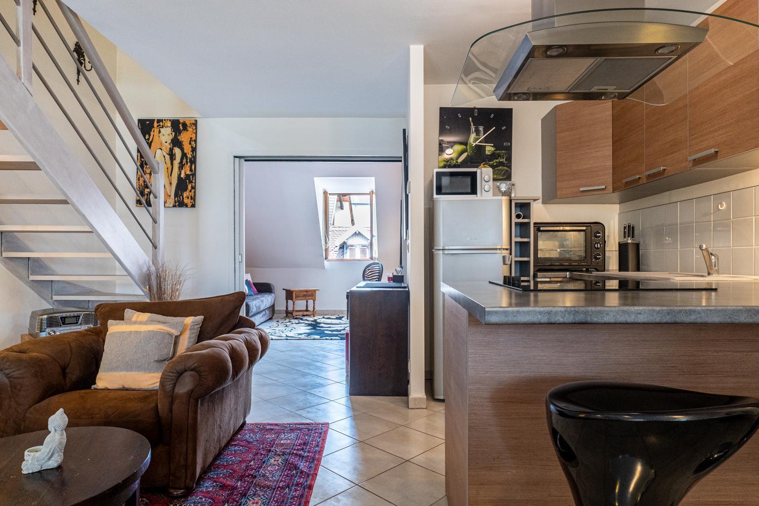 Carnot Duplex, Spacieux 3 Pieces Avec 2 Chambres Sur Les Rue Pietonnes Аннесі Екстер'єр фото